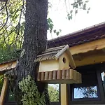 Tatil Evi Мома Елена Buynovtsŭ