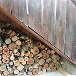 Мома Елена Tatil Evi *