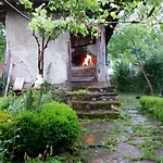 Мома Елена Buynovtsŭ