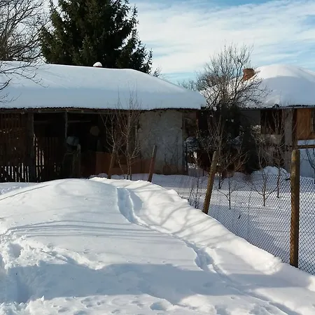 Мома Елена Ferienhaus *
