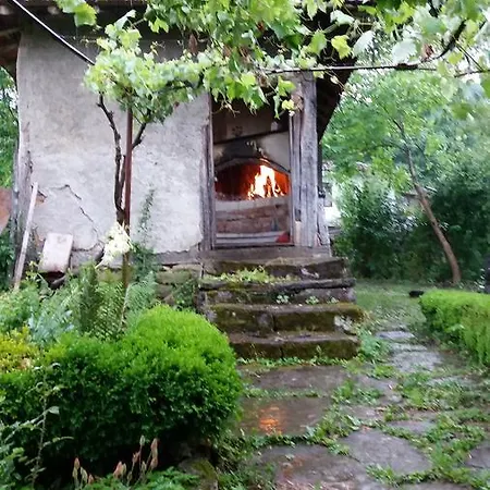 Мома Елена Buynovtsŭ