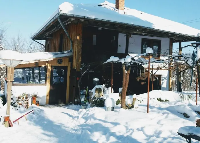 House Moma Elena * Buynovtsŭ